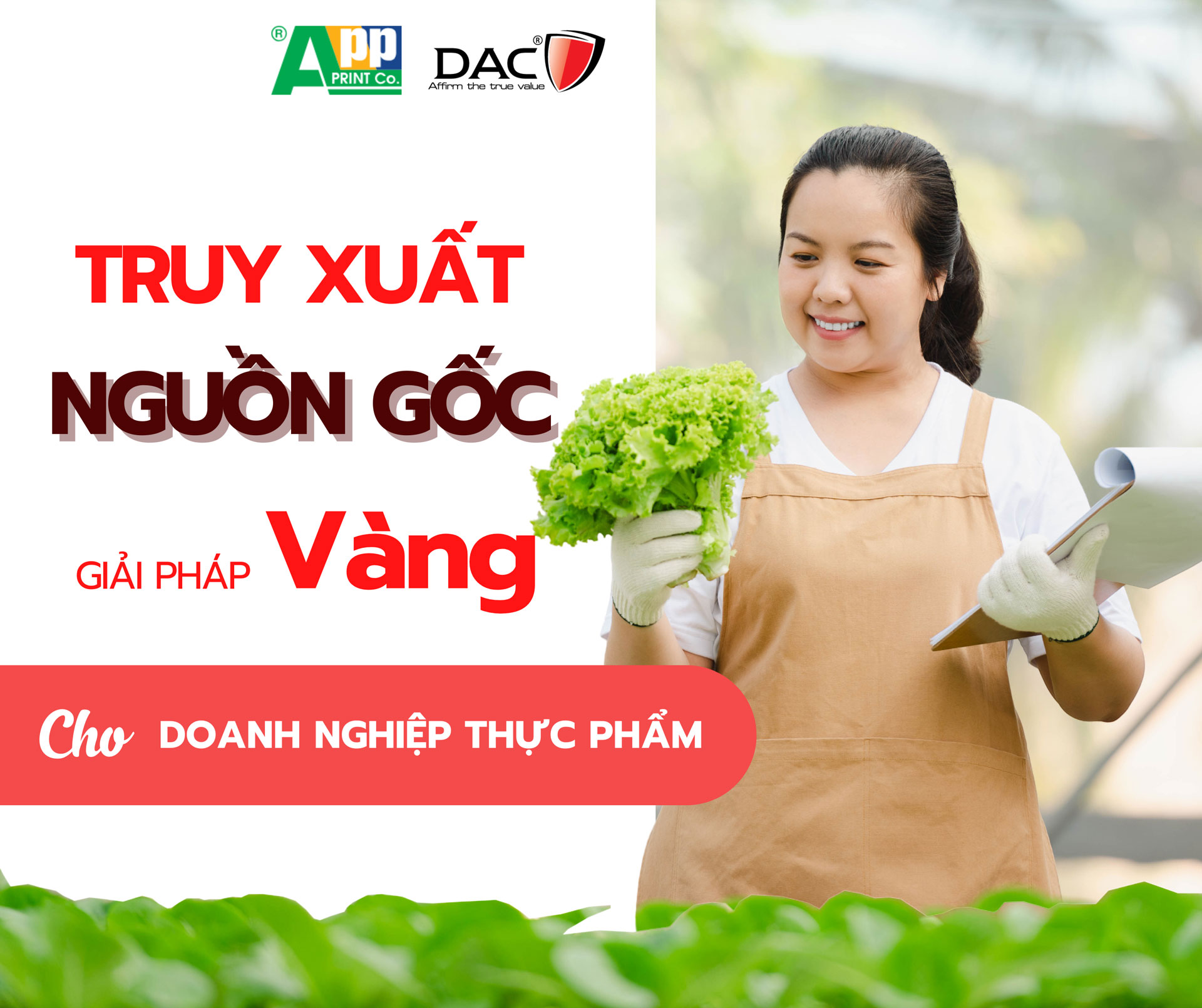 TRUY XUẤT NGUỒN GỐC – Giải pháp VÀNG cho Doanh nghiệp Thực phẩm